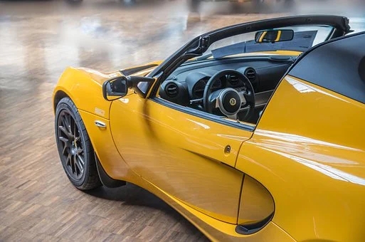 lotus-5407670__340.webp.jpg